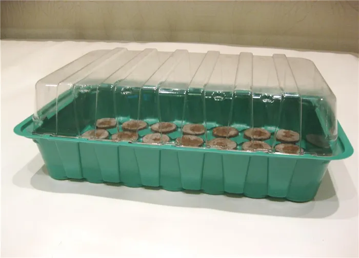 Торфяные таблетки в комплекте с мини парником