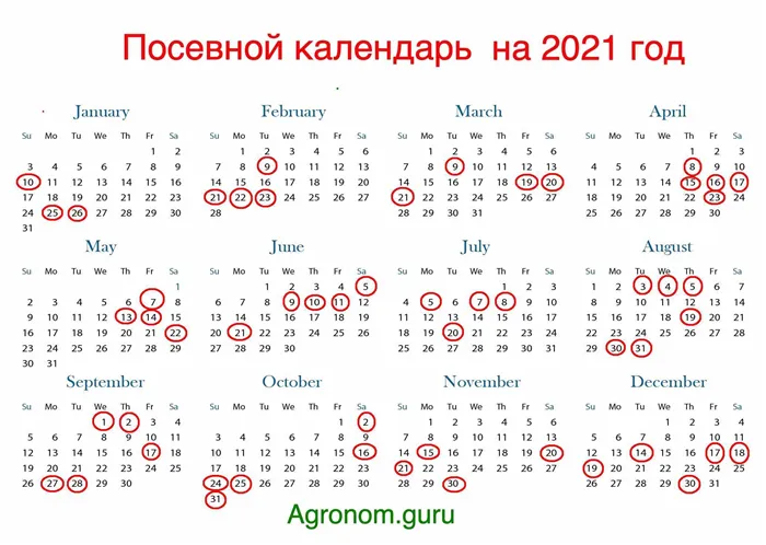 Посевной календарь 2021