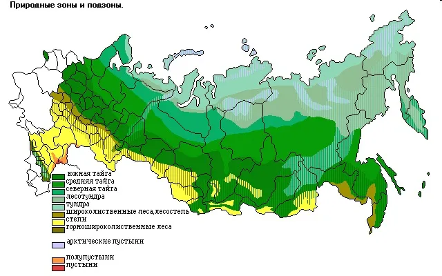 Широколиственные леса России. Географическое положение, климат, животные, растительный мир, фото