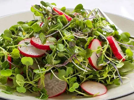 микрозелень в салате