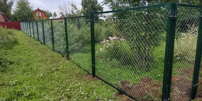 сетчатый забор между соседями
