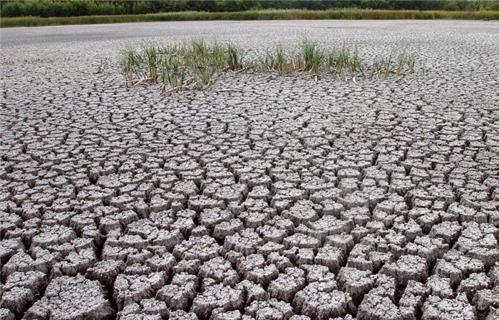 Что такое ветровая и водная эрозия почв?