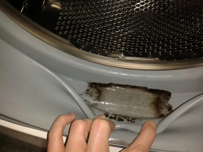 Резинка стиральной машины