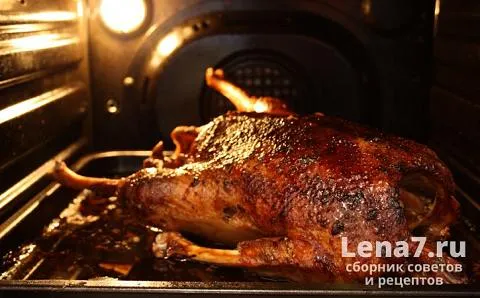 Чтобы уже пропекшееся мясо гуся подрумянилось, конвекцию можно включить в самом конце готовки