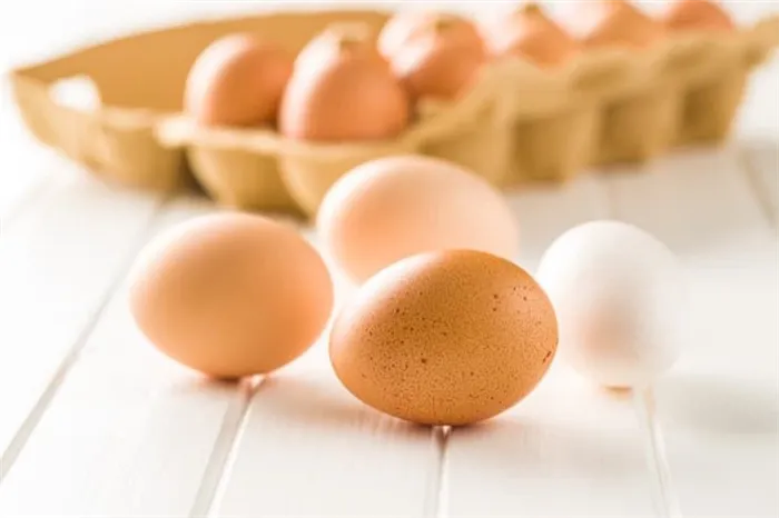 Как правильно выбрать яйца для закладывания в инкубатор? Пошаговая инструкция закладки яиц и способы ухода за ними в процессе инкубации