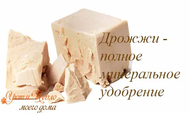 drozhzhi - polnoe mineral