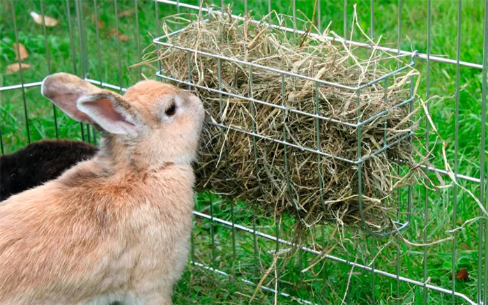Грубый корм для кроликов