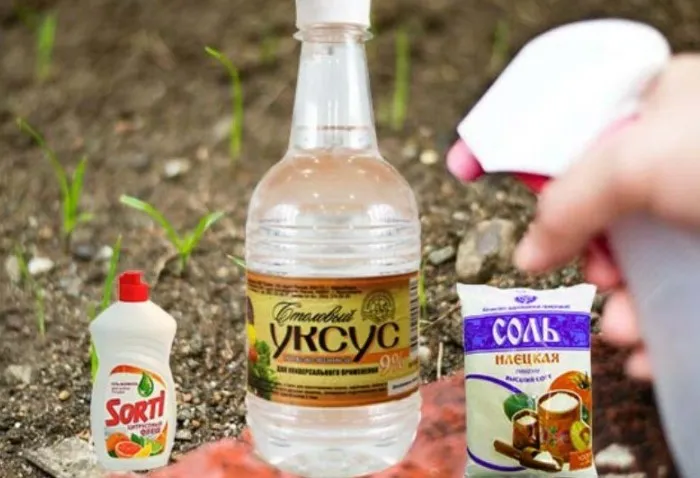 Чтобы приготовить гербицидное мыло, смешайте жидкое мыло (посудный гель), уксус и соль / Фото: golosros.ru