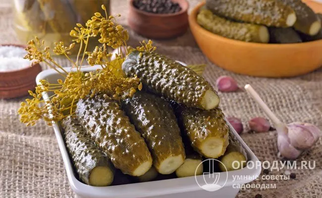 Соленые огурцы и огуречные маринады - традиционные угощения, которые пользуются неизменным спросом зимой.