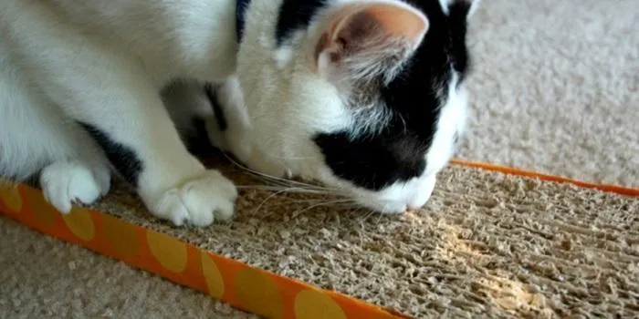 Простой скребок для кошек из картона