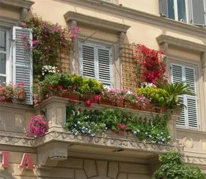 Как правильно выбрать цветы для балкона