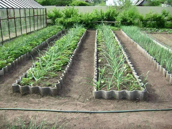 Оптимальная ширина грядки для огорода