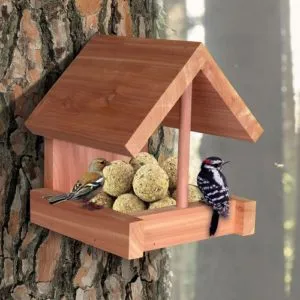 Деревянные кормушки для птиц своими руками: размеры и дизайн