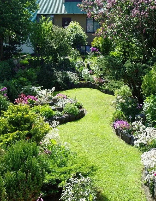 садовый газон