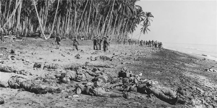 После битвы. В левом углу и далее по краю кокосовой плантации укрытия отрезанной позиции, которую штурмовали погибшие японские пехотинцы.