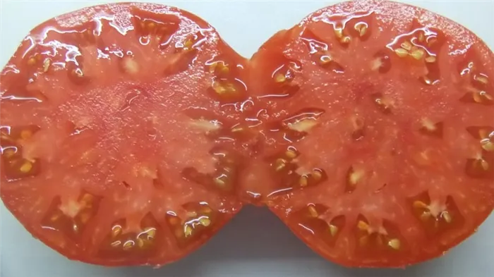 Как подготовить семена томатов в домашних условиях для зимнего урожая - советы опытных садоводов.