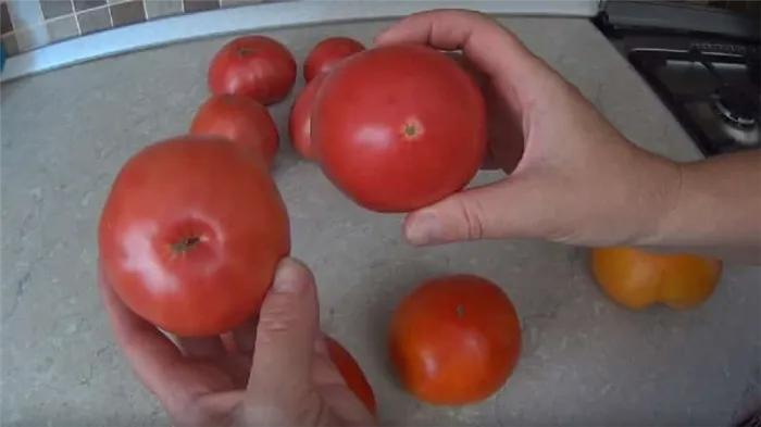 Как подготовить семена томатов в домашних условиях для зимнего урожая - советы опытных садоводов.