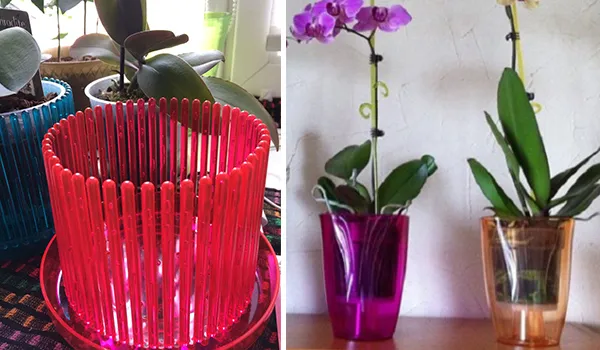 Горшки для растений орхидей
