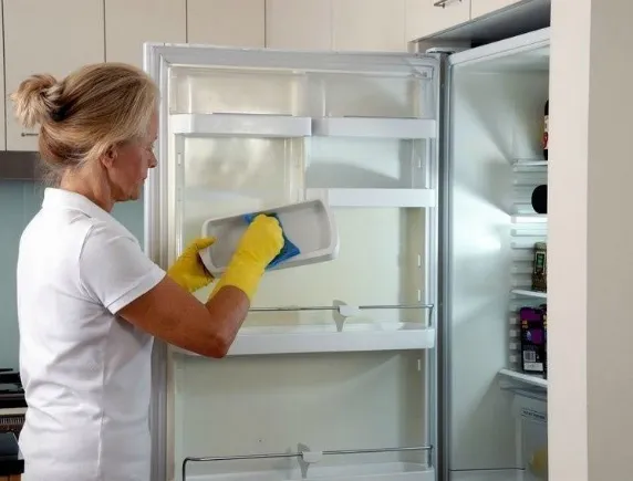 Πώς να πλένετε σωστά το ψυγείο σας