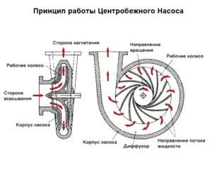 Схема работающего центробежного насоса для откачки воды из скважины