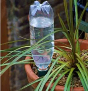 Полив растений с помощью бутылок, как поливать растения в отпуске
