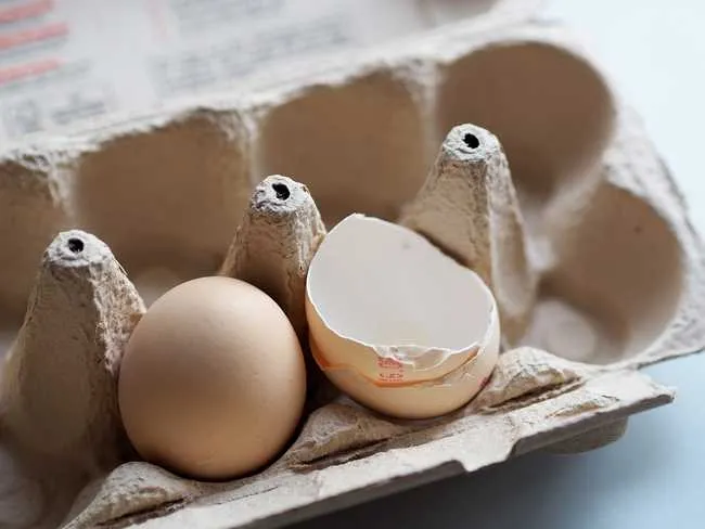 Яйца и яичная скорлупа