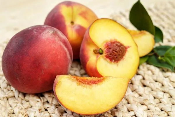 Цветущее и плодоносящее дерево в домашних условиях можно вырастить с помощью персиковой пемзы.