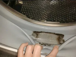 Как удалить плесень из стиральных машин и причины появления плесени