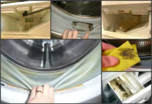 Места, где на стиральных машинах может образовываться плесень