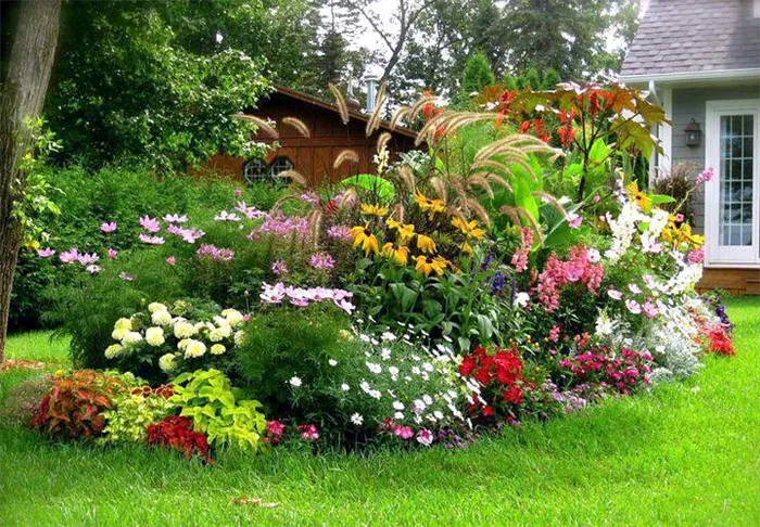 Как посадить красивые цветы в Дакке