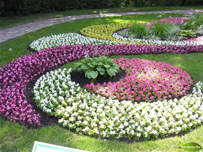 (+40 фото) Как посадить красивые цветы на даче: правила, формы и возможные конфигурации.