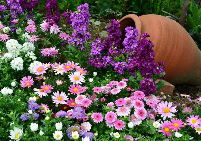 Как посадить красивые цветы в саду: правила, дизайн и возможные варианты размещения