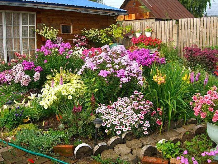 Как посадить красивые цветы на собственной даче