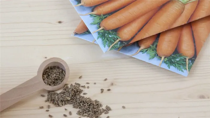 Лучшие методы и советы о том, как сажать морковь, чтобы не пришлось ее прореживать