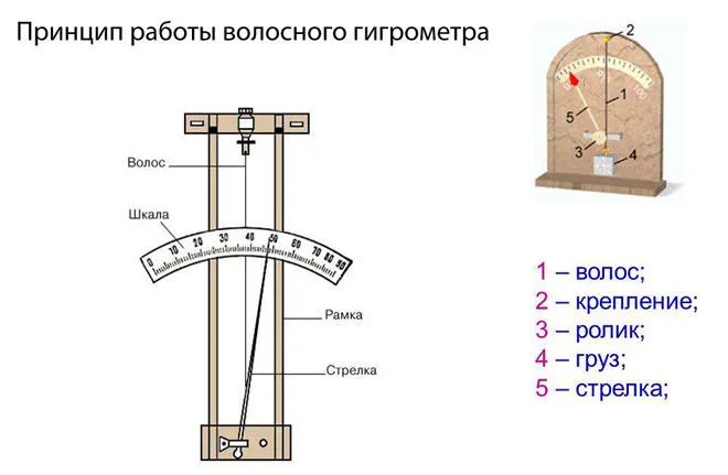 Принцип работы волосяного гигрометра