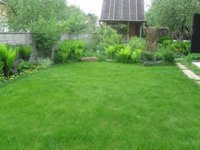Как разработать заросший участок под огород или газон: простые и доступные способы