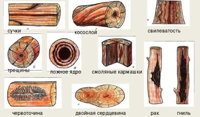 Типы дефектов древесины