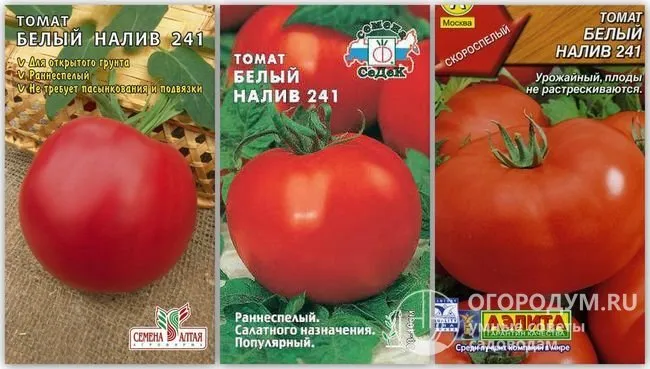 Упаковки семян томатов сорта «Белый налив 241» разных производителей