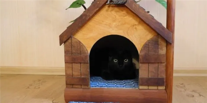 Как изготовить домик для кошки своими руками: выкройки и пошаговые инструкции