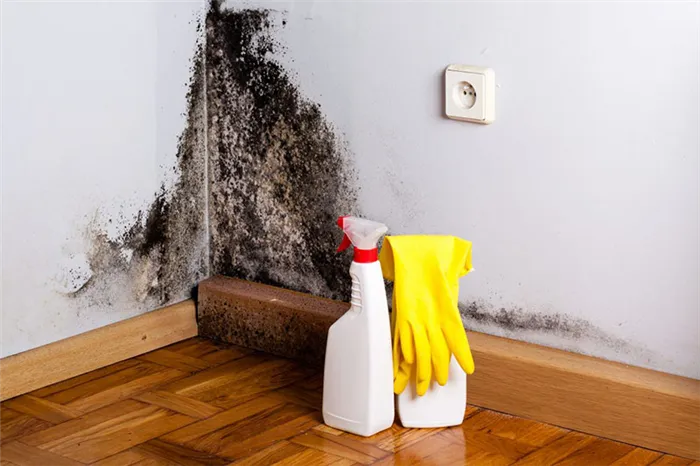 При отсутствии вентиляции в квартире не обеспечивается циркуляция воздуха, из-за чего плесень быстро нарастает на стенах и в углах комнаты