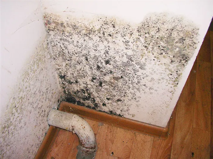 Если в комнате соблюдается нормальная влажность, но вы обнаружили плесень на одной стене – проверьте трубы: возможно, произошла протечка воды