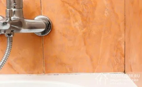 Грибок в ванной – распространенная проблема, обусловленная повышенной влажностью, скоплением грязи и другими факторами