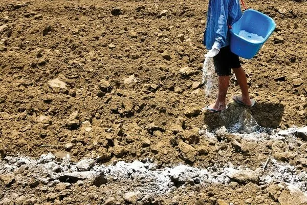 кислая почва как определить