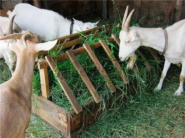 Кормушка для коз под траву