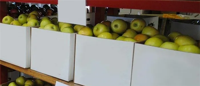 хранение на стеллажах яблок