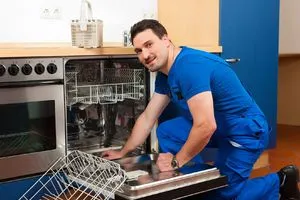 Народные средства для устранения запаха из посудомоечной машинкой
