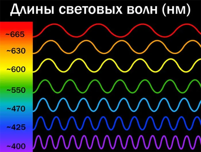 длины световых волн, и какому цвету соответствует каждая из них