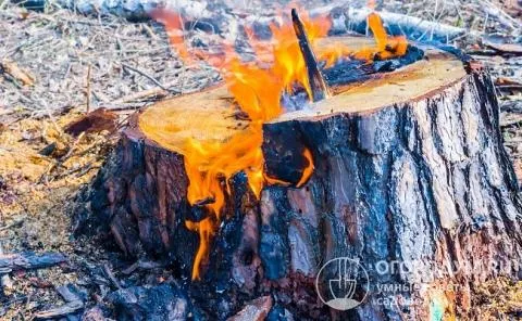 Механизм действия селитры основан на выделении кислорода при нагревании, что обеспечивает горение пропитанной ею древесины даже под землей.