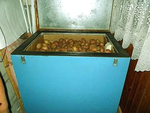 Картофель в ящике на балконе