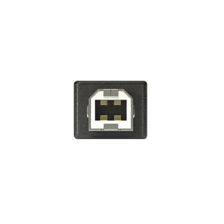 USB B-Type Connector - Male